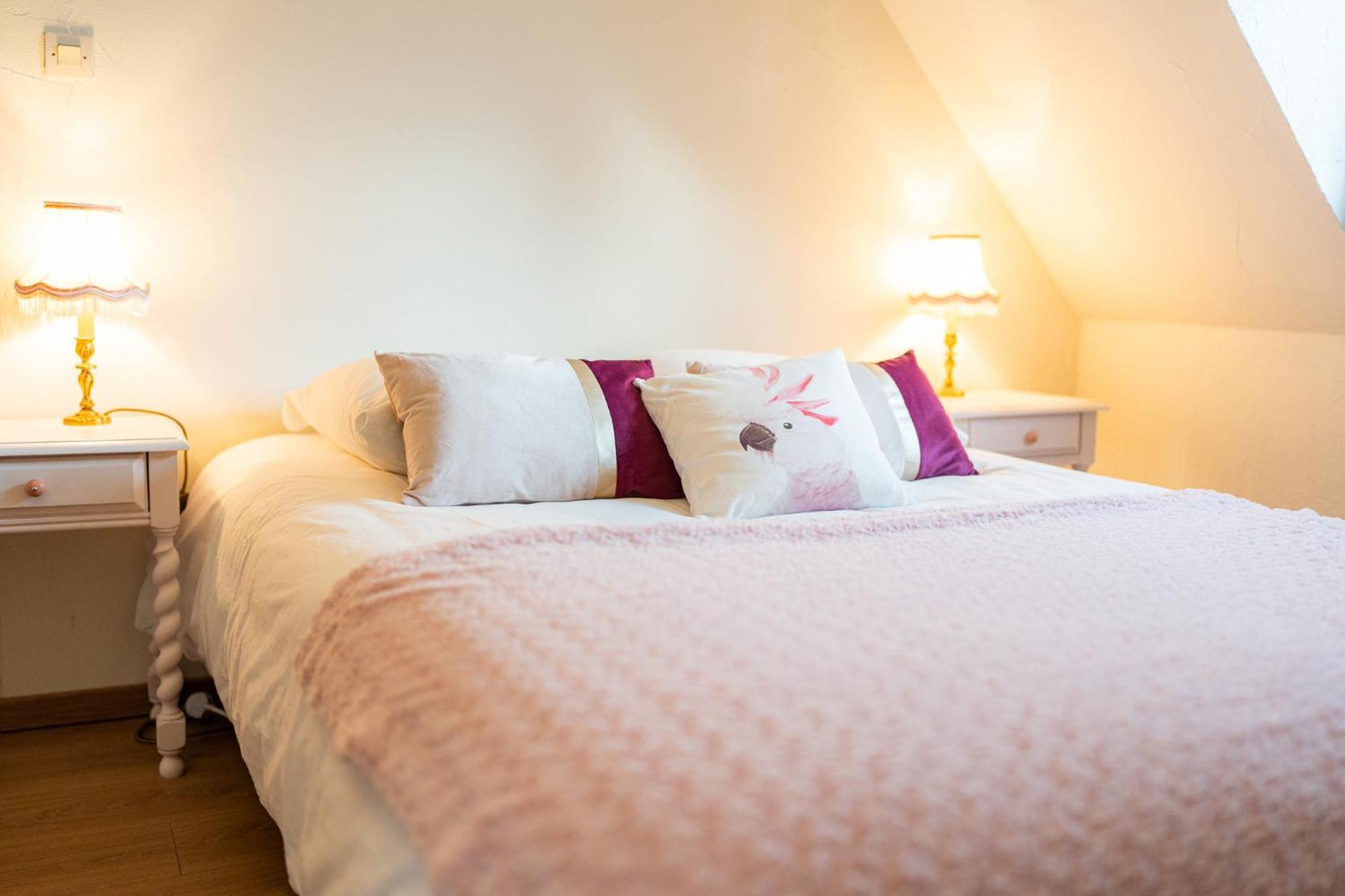 Le Vieux Pressoir Villa Dieffenthal Room photo